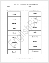 Animal Group Names Worksheets & Printables - EnglishBix