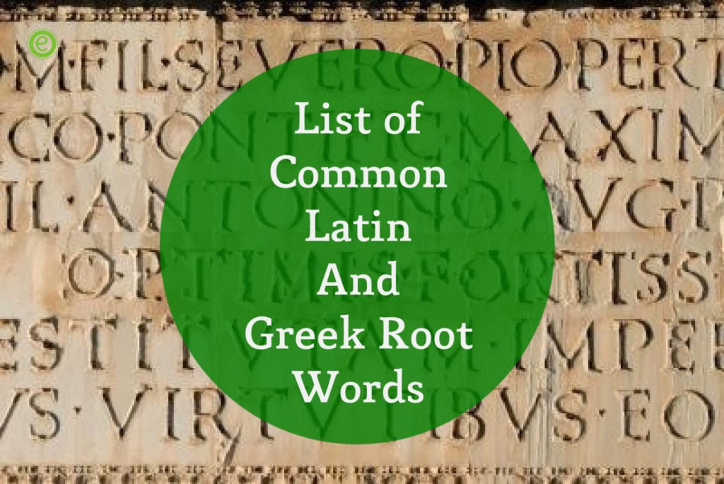 Common Latin and Greek Root Words List with Meanings EnglishBix