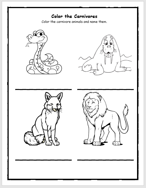 Omnivores Animals Worksheet: Free Printable PDF for Kids
