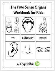 Five Sensory Organs Activity Workbook