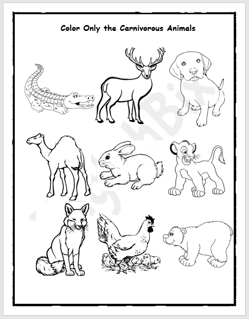 Herbivores and Carinvores Animals Picture Workbook - EnglishBix