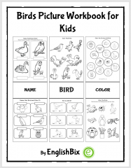 Birds Picture Activity Workbook for Kids