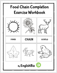 Food Chain Activity Workbook for Kids