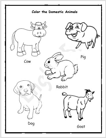 Domestic Animals Activity Workbook for Kids - EnglishBix