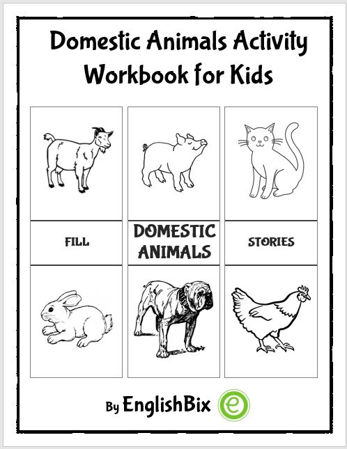 Domestic Animals Activity Workbook for Kids - EnglishBix