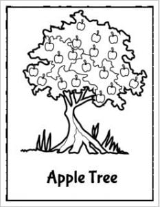 Apple Tree Coloring Worksheet for Kids - EnglishBix