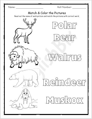 Arctic Animals Printables for Preschool Kids - EnglishBix