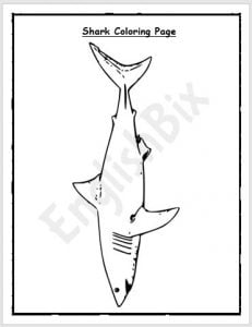 Shark Activity Worksheet for Kindergarten - EnglishBix