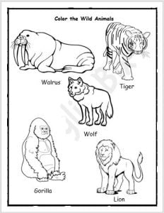 wild animal activities workbook for kindergarten kids