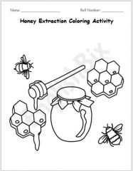 Honey Bee Worksheets for 3rd Grade Kids - EnglishBix