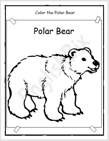 Polar Bear - Black and White Coloring Page