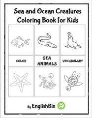Sea and Ocean Creatures Coloring Book
