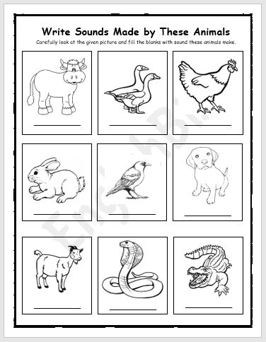 Animal Sound Activity Workbook for kids - EnglishBix