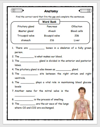 Anatomy Fill in the Blanks Worksheet - EnglishBix