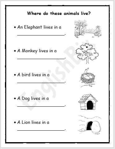 Animal Homes Picture Worksheet for 2nd Grade - EnglishBix