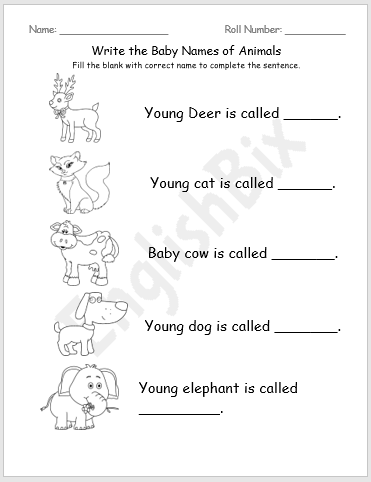 Baby Animal Names Writing Worksheet - EnglishBix