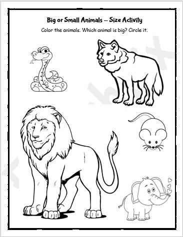 Big and Small Animals Coloring Worksheets - EnglishBix