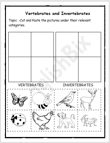 Classifying Vertebrate and Invertebrates Worksheet - EnglishBix