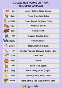 Collective Nouns List for Group of Animals - EnglishBix