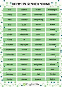 List of common gender nouns