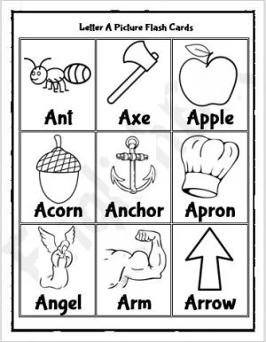 Letter B Words for Kindergarten & Preschool Kids - EnglishBix