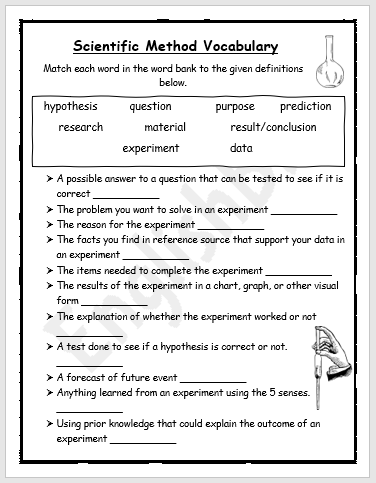 Scientific Method Vocabulary Worksheet - EnglishBix