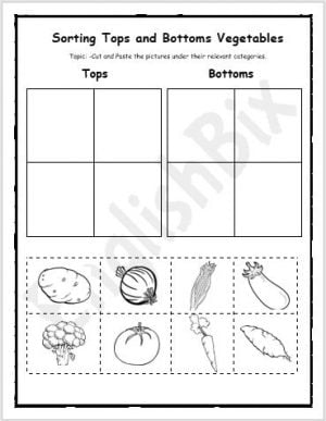 Tops and Bottoms Vegetable Printable Worksheets - EnglishBix