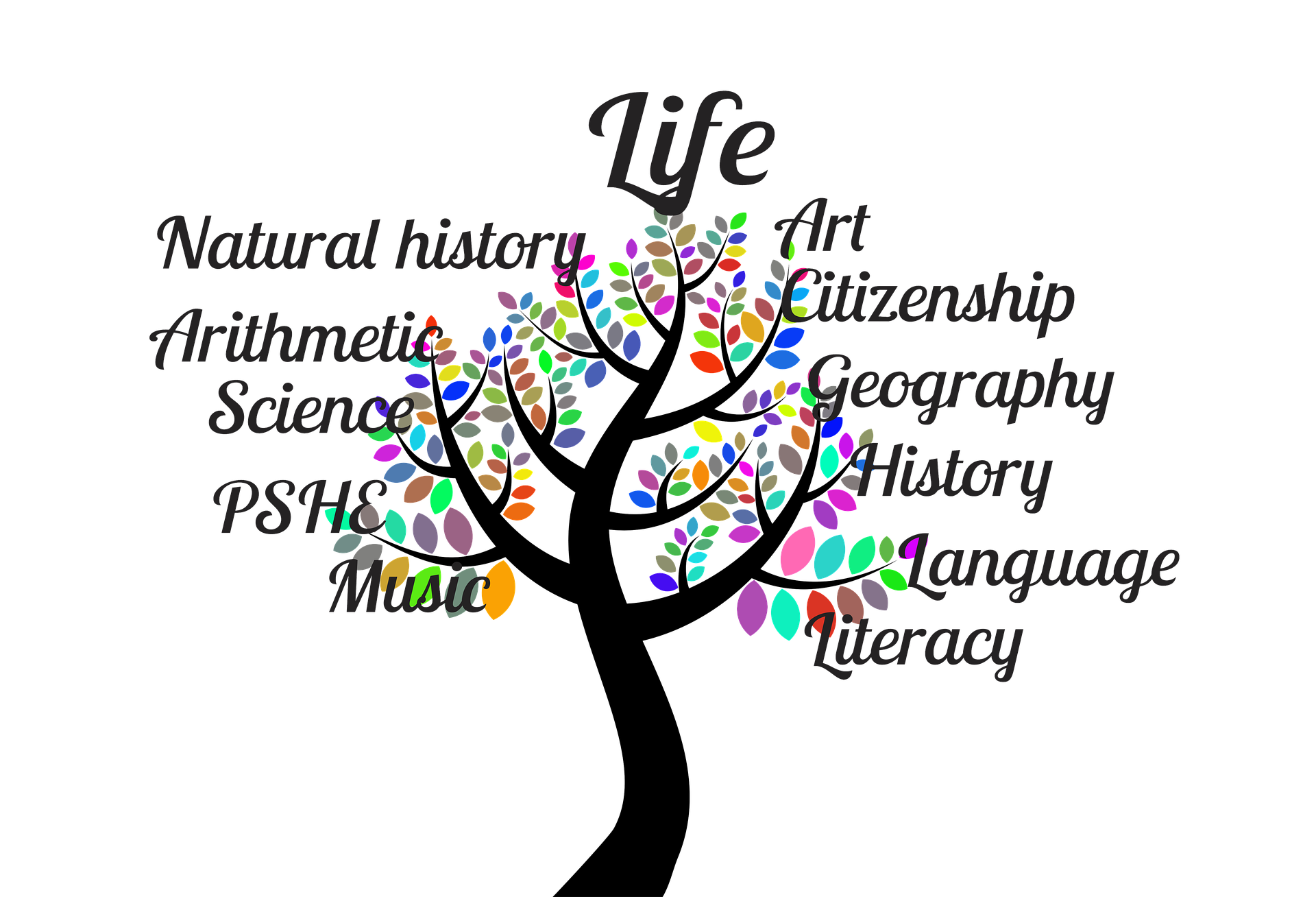 School Subjects Names Vocabulary Words EnglishBix